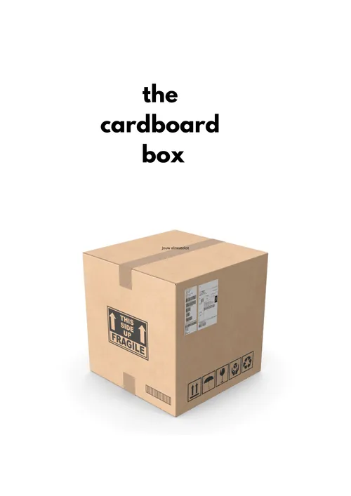 the cardboard box by IsaTaels