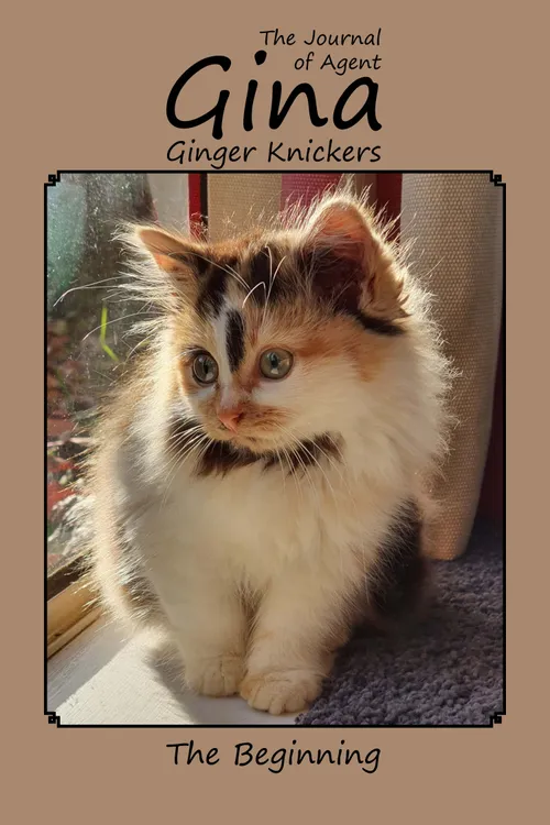 The Journal of Agent Gina Ginger Knickers - The Beginning by LindaTheNotSoCrazyCatLady