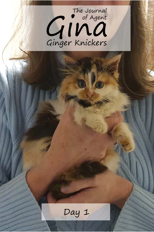 The Journal of Agent Gina Ginger Knickers - Day 1 by LindaTheNotSoCrazyCatLady